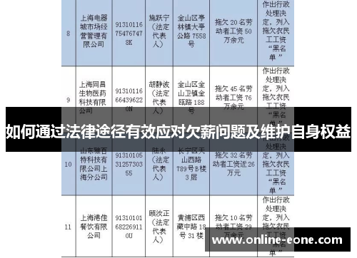 如何通过法律途径有效应对欠薪问题及维护自身权益