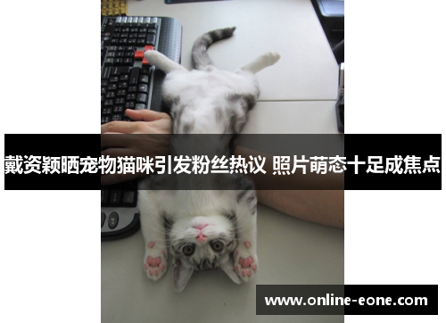 戴资颖晒宠物猫咪引发粉丝热议 照片萌态十足成焦点