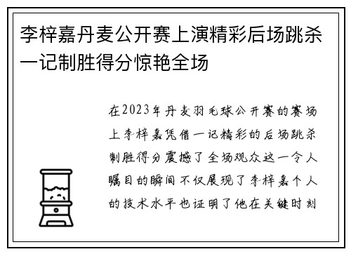 李梓嘉丹麦公开赛上演精彩后场跳杀一记制胜得分惊艳全场