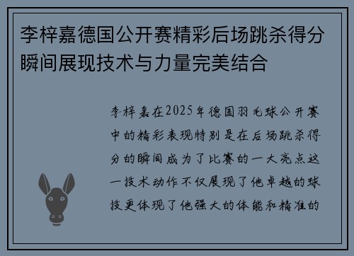 李梓嘉德国公开赛精彩后场跳杀得分瞬间展现技术与力量完美结合